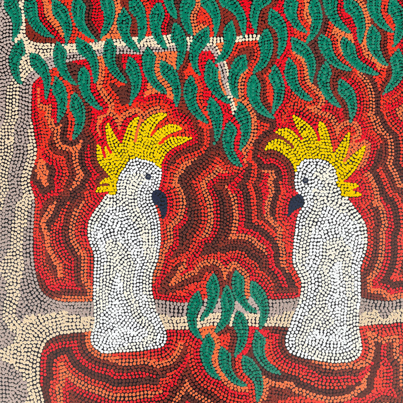 Cockatoos - Stephen Berger