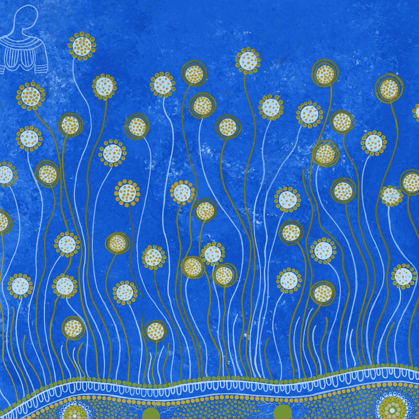 Dancing Murrnong - Patricia Carminara