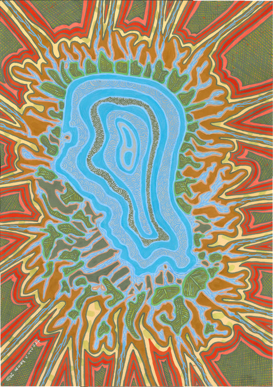 Billabong In Flood - Dr Treahna Hamm - 2020