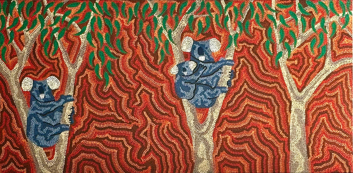 Koala - Stephen Berger