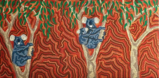 Koala - Stephen Berger