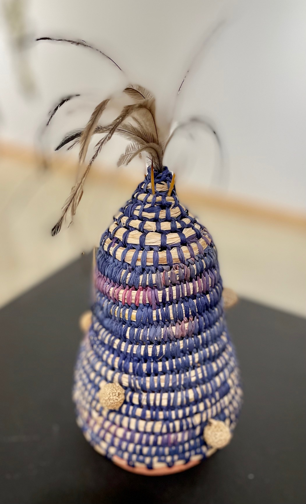 Woven Vase with Emu Feathers, Echidna Quills and Quandong - Trish Cerminara (Gamilaroi)